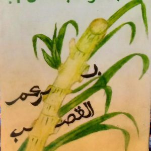 برعم القصب شعر عبد الوهاب هلال بن مساهل