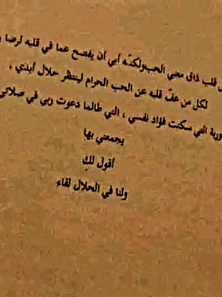 رواية ولنا في الحلال لقاء أحمد عطا – Image 3